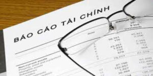 Lập báo cáo tài chính theo quyết định 48