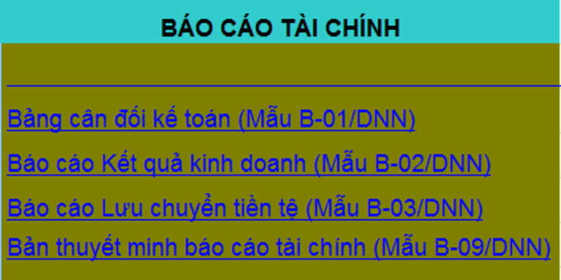 Lập báo cáo tài chính theo quyết định 48